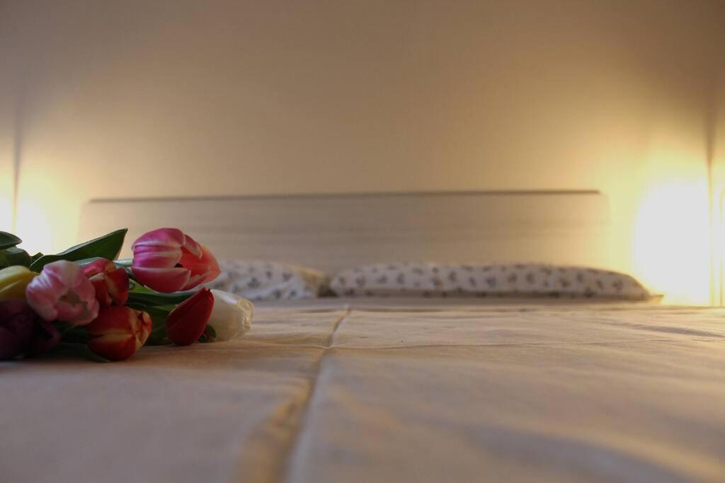 ברגמו Venere Apartment מראה חיצוני תמונה